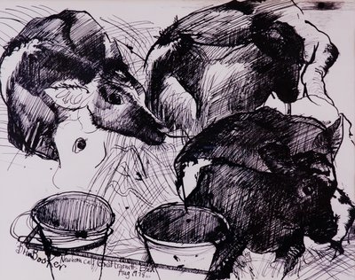 Vasikat, kosteat, vastasyntyneet, 1978 tekijältä Brenda Brin Booker