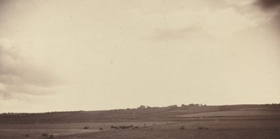 Näkymä pelloille lehmien kanssa tekijältä British 19th Century