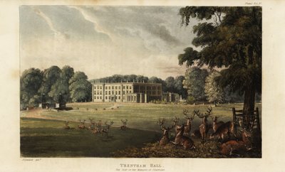 Hirvilauma Trentham Hallin edessä tekijältä British School