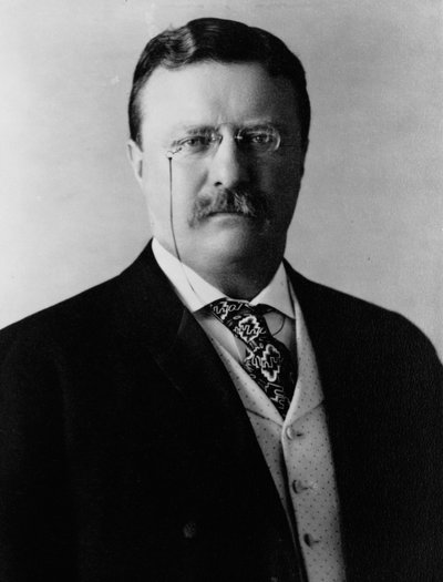 Theodore Roosevelt, n. 1904 (m/v valokuva) tekijältä Brothers Pach
