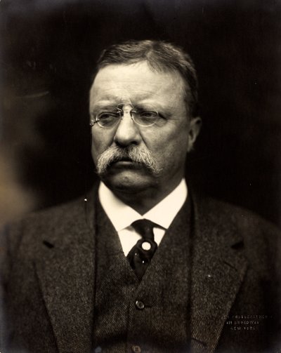 Theodore Roosevelt, n. 1915 (m/w valokuva) tekijältä Brothers Pach