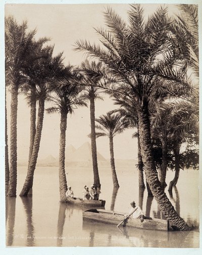 Palmulehto Egyptin pyramidien juurella - Zangali-veljesten valokuva, 1800-luvun loppu tekijältä Brothers Zangaki