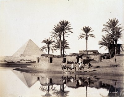 Kamelit juomassa Egyptin pyramidien juurella - Zangali-veljesten valokuva, 1800-luvun loppu tekijältä Brothers Zangaki