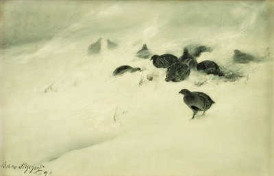 Teeri lumimyrskyssä tekijältä Bruno Andreas Liljefors