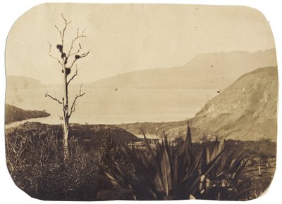 Järvi ja Tarawera-vuori Te Wairoasta, 1860 (albumiprintti) tekijältä Bruno Hamel