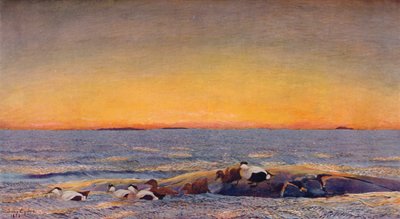Auringonnousu, 1896 tekijältä Bruno Andreas Liljefors