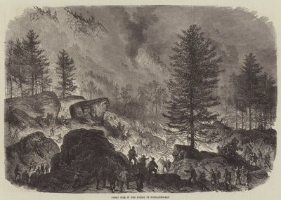 Suuri tulipalo Fontainebleaun metsässä tekijältä Burn Smeeton