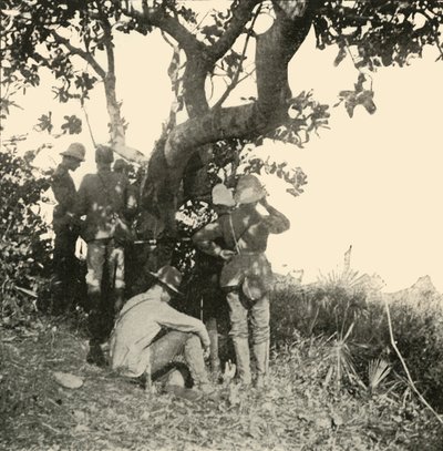 Puu, josta kapteeni Paget...näki...San Juanin taistelu, Espanjan ja Amerikan sota, kesäkuu 1898, 1899. tekijältä Burr McIntosh
