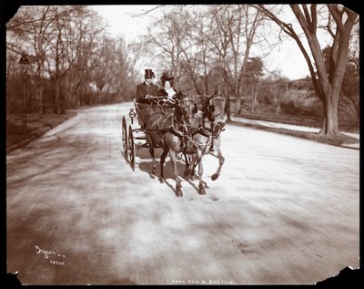 Anna Held ja Florenz Ziegfeld ajamassa hevoskärryä, New York, 1904 (hopeagelatiiniprintti) tekijältä Byron Company