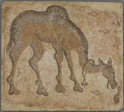 Mosaiikkifragmentti laiduntavalla kamelilla tekijältä Byzantine