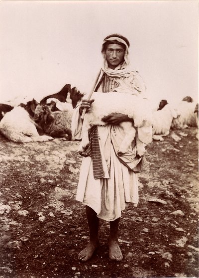 Paimenpoika kantaa karitsaa, n.1894-1914. tekijältä C.A. Hornstein