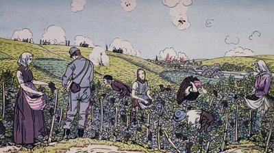 Viininviljelijämme korjasivat sadon tulen alla, sadonkorjuu Champagnen alueella vuonna 1914, ensimmäinen maailmansota, Ranska, 20. vuosisata tekijältä J.B. and Brown J. Rowbotham