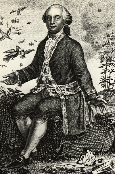Georges-Louis Leclerc de Buffonin (1707-1788), ranskalaisen luonnontieteilijän ja matemaatikon muotokuva, kaiverrus tekijältä J.B. and Brown J. Rowbotham