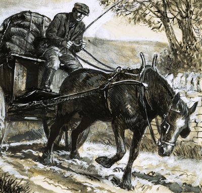 Hevoset olivat aliravittuja ja ylikuormitettuja tekijältä C.L. Doughty