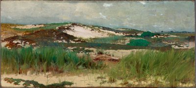 Nantucketin hiekkadyynit tekijältä C. Morgan McIlhenney