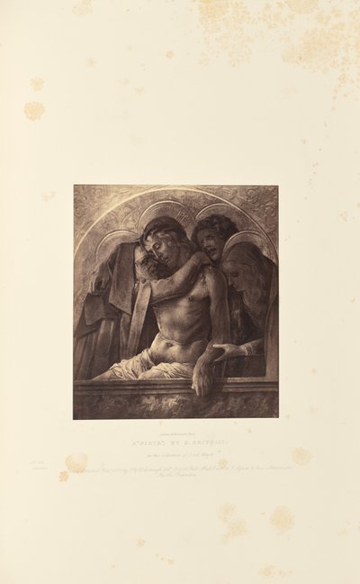 C. Crivellin "Pieta". tekijältä Caldesi and Montecchi