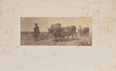 R. Ansdellin kirjoittama "Paluu työelämästä". tekijältä Caldesi and Montecchi