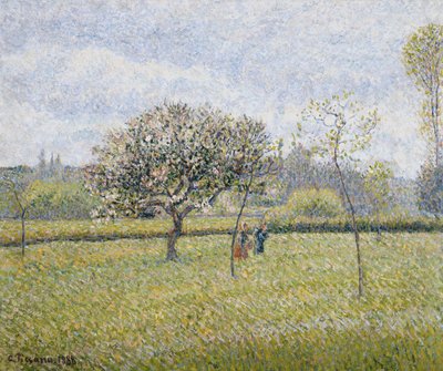 Apple Tree in Flower at Eragny; Pommier en Fleur a Eragny, 1888 tekijältä Camille Jacob Pissarro
