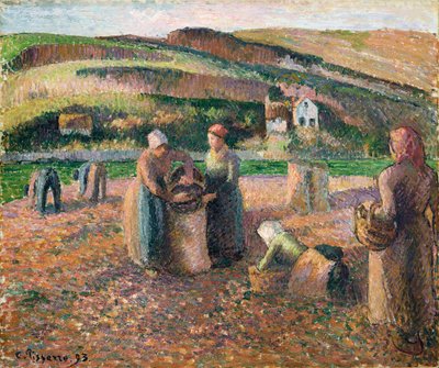 Perunoiden poiminta, 1893 tekijältä Camille Jacob Pissarro