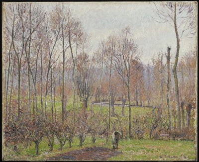 Poppelit, Harmaa sää, Eragny, 1895 tekijältä Camille Jacob Pissarro