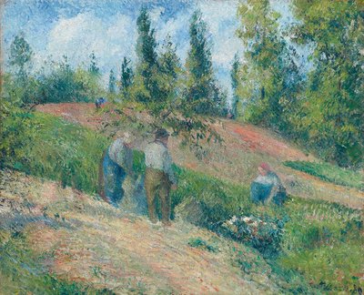 Sadonkorjuu, Pontoise, 1880 tekijältä Camille Jacob Pissarro