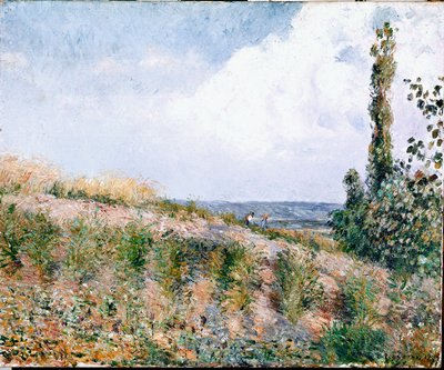 Maisema (öljy kankaalle) tekijältä Camille Jacob Pissarro