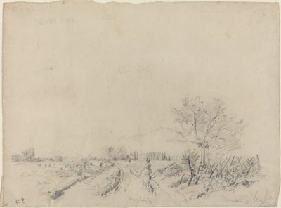 Montmorency Road tekijältä Camille Pissarro