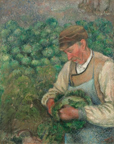 Puutarhuri - vanha talonpoika kaalilla tekijältä Camille Pissarro