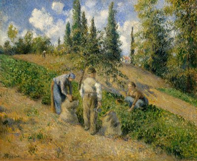 The Harvest, Pontoise The Harvest, Pontoise, 1881. tekijältä Camille Jacob Pissarro