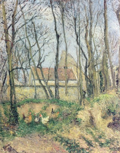 Tuntematon kuva tekijältä Camille Jacob Pissarro