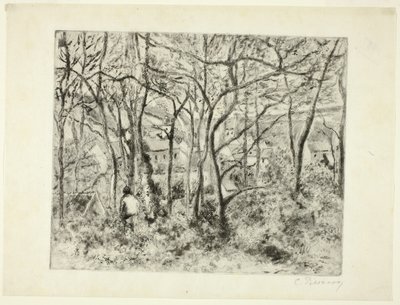 Metsät Eremitaasissa tekijältä Camille Pissarro