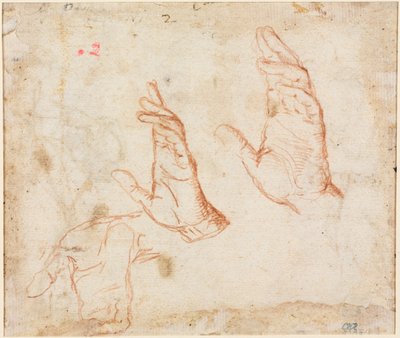 Study of Hands verso, n. 1590. tekijältä Camillo Procaccini