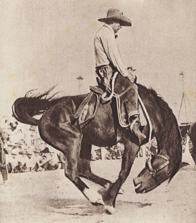 Cowboy ratsastaa ratsastamalla ratsuhevosella (s/w kuva) tekijältä Canadian Photographer