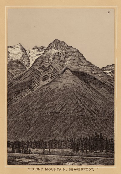 Kanada: Mountain, Beaverfoot (litografia). tekijältä Canadian School