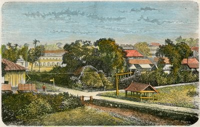 Tonga, 1885 tekijältä Canedi Barberis