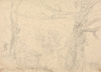 Holne Chase, 30. toukokuuta 1833 tekijältä Capt. Thomas Hastings