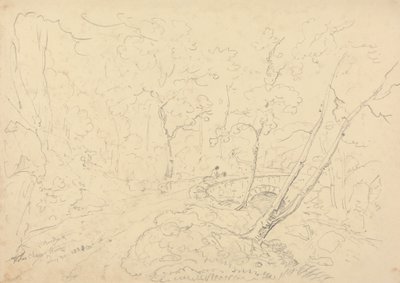 Holne Chase Bridge and River, 30. toukokuuta 1833 tekijältä Capt. Thomas Hastings