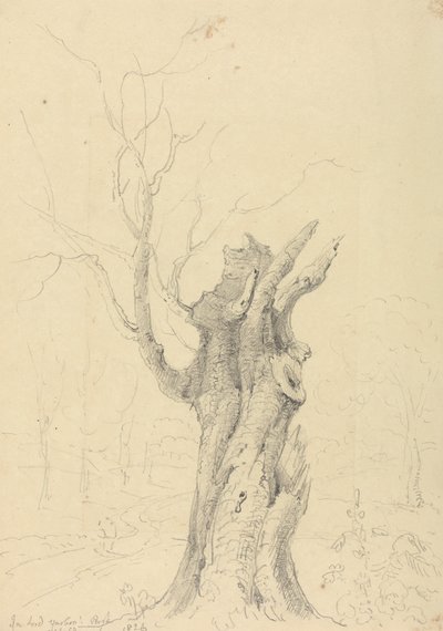 Lord Yarborough