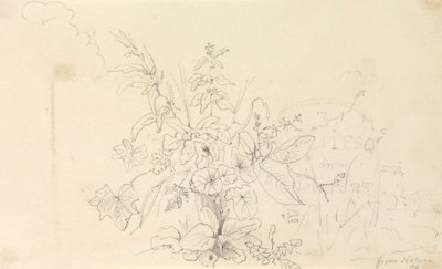 Luonnos kasveista ja virstanpylväs luonnosta, 3. kesäkuuta 1826 tekijältä Capt. Thomas Hastings
