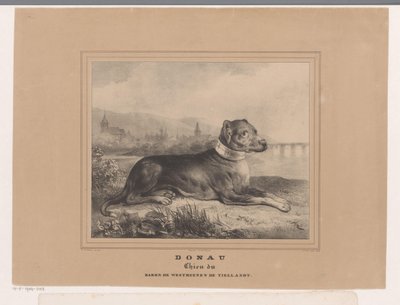 Koira Tonava Tonava. Chien du Baron de Westreenen de Tiellandt (otsikko esineessä) tekijältä Carel Christiaan Antony Last