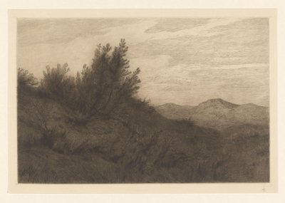 dyyni maisema Les Dunes at Zandvoort (alkuperäinen nimi) tekijältä Carel Nicolaas Storm van 