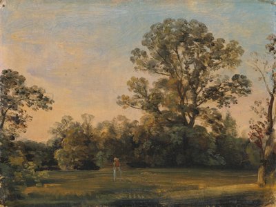 Metsämaisema, jossa linna veden päällä tekijältä Carl Blechen