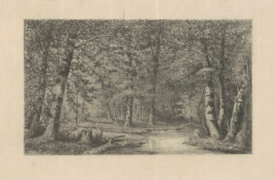 Bosc de faig finlandès tekijältä Carl C. Brenner