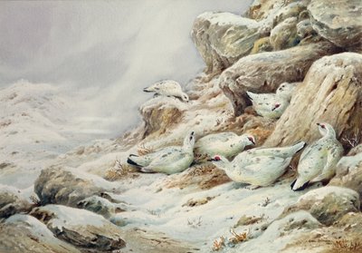 Huonekalut ja erilaiset esineet 1100- ja 1300-luvuilta tekijältä Carl Donner