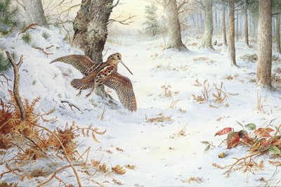 Huonekalut ja erilaiset esineet 1100- ja 1300-luvuilta tekijältä Carl Donner