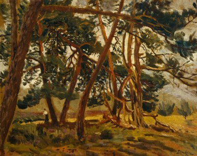 Nainen metsämaisemassa (maalaus) tekijältä Carl Edvard Diriks