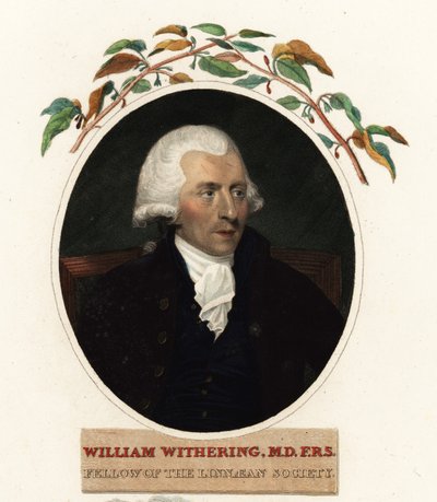 Lääkäri ja kasvitieteilijä William Witheringin muotokuva tekijältä Carl Frederik van (after) Breda