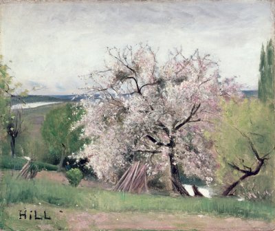 Hedelmäpuu paikassa Blossom, Bois-le-Roi tekijältä Carl Fredrik Hill