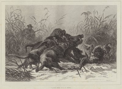 Villisian metsästys tekijältä Carl Friedrich Deiker