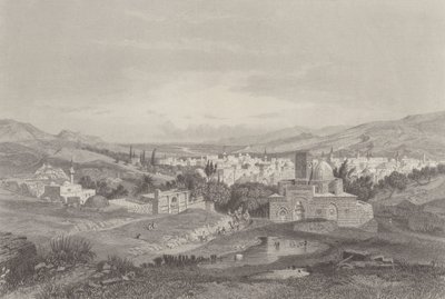 Damaskoksen joet tekijältä Carl Friedrich Heinrich Werner